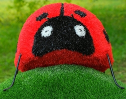 Топиари божья коровка Бонита - газон Eco, фото 2