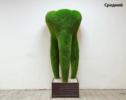 Топиари зуб ЗуБ’Ок, маленький - газон Deluxе, фото 2