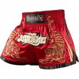 Шорты Hayabusa haytshorts02