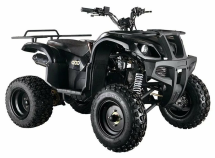 Квадроцикл ABM Apache 150 Basic Квадроцикл ABM Apache 150 Basic