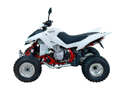 Квадроцикл SYM QuadRaider 450, фото 2