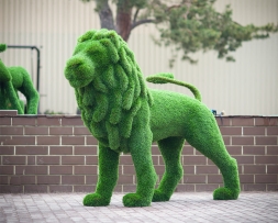 Топиари &quot;Лев с гривой&quot;