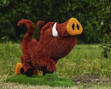 Топиари кабан Валери - газон Eco, фото 2