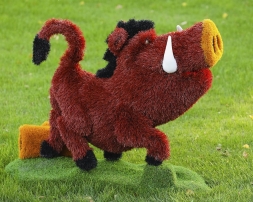 Топиари кабан Валери - газон Eco, фото 1