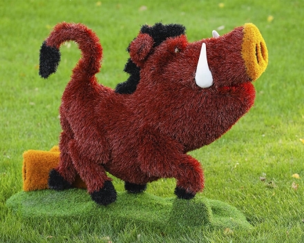 Топиари кабан Валери - газон Eco, фото 1