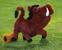 Топиари кабан Валери - газон Eco