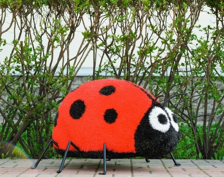 Топиари Божья коровка - газон Eco, фото 1