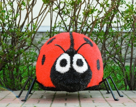 Топиари Божья коровка - газон Eco, фото 3