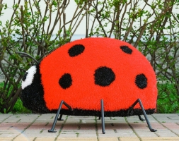 Топиари Божья коровка - газон Eco, фото 2