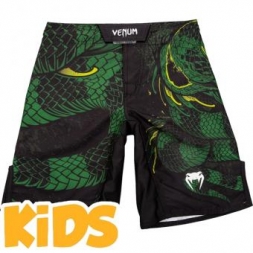 Шорты Venum venshorts0326