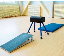 Козел гимнастический переменной высоты ПРОФ