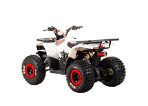 Квадроцикл MOTOLAND 125 Wild