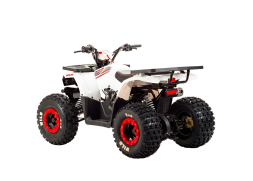 Квадроцикл MOTOLAND 125 Wild, фото 5