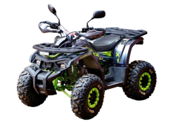 Квадроцикл MOTOLAND 125 Wild X Pro, фото 1 Квадроцикл MOTOLAND 125 Wild X Pro, фото 1