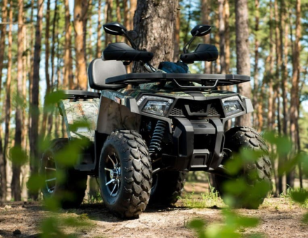 Квадроцикл YAMAHA Shark 300cc, фото 6