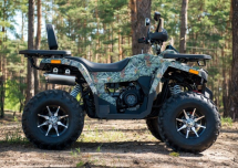 Квадроцикл YAMAHA Shark 300cc Квадроцикл YAMAHA Shark 300cc