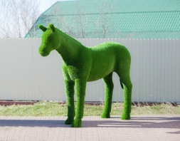 Топиари &quot;Конь&quot;