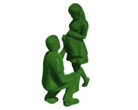 Топиари композиция в ожидании - газон Есо, фото 5