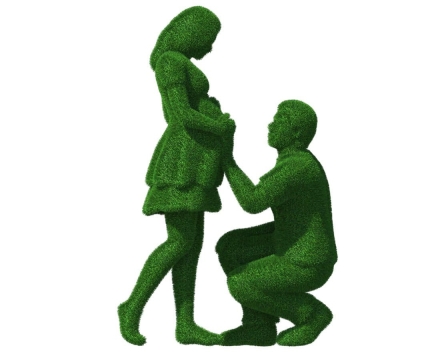 Топиари композиция в ожидании - газон Есо, фото 4