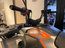 Квадроцикл LONCIN Xwolf 300 MAX, фото 4