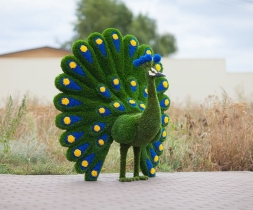 Топиари &quot;Павлин НЭО&quot;