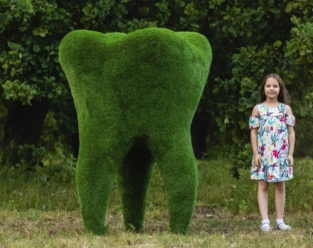 Топиари зуб - газон Premium, фото 1