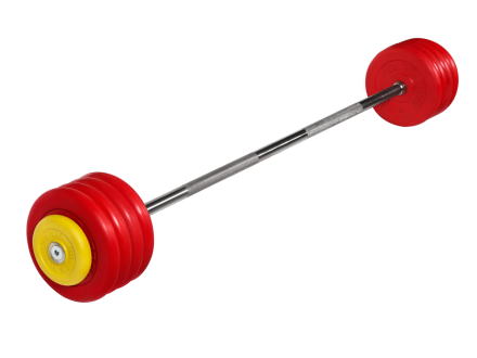 Штанга неразборная &quot;Barbell&quot; с цветными дисками d 25 мм, 47,5 кг, фото 1
