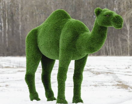 Топиари Верблюд одногорбый - газон Deluxe, фото 1