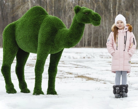 Топиари Верблюд одногорбый - газон Deluxe, фото 4