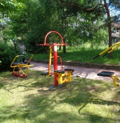 Степ и маятниковый тренажер ТОС-0226 , фото 2 Степ и маятниковый тренажер ТОС-0226 , фото 2