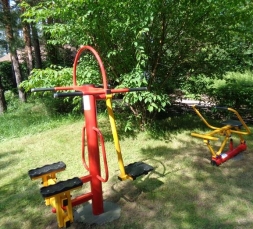 Степ и маятниковый тренажер ТОС-0226 , фото 3 Степ и маятниковый тренажер ТОС-0226 , фото 3