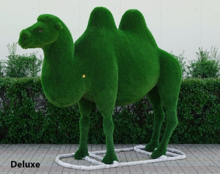 Топиари Верблюд двугорбый - газон Deluxe, фото 1
