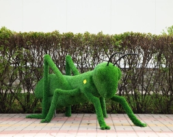 Топиари кузнечик - газон Eco, фото 1