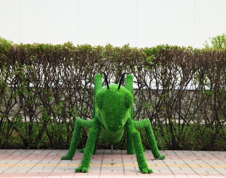 Топиари кузнечик - газон Eco, фото 3