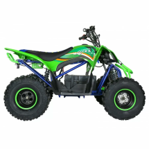 Квадроцикл Motax E-PENTORA 1500W Квадроцикл Motax E-PENTORA 1500W