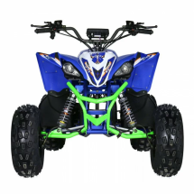 Квадроцикл Motax E-PENTORA 1500W Квадроцикл Motax E-PENTORA 1500W