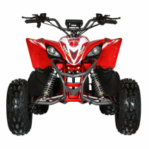 Квадроцикл Motax E-PENTORA 1500W Квадроцикл Motax E-PENTORA 1500W