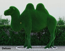 Топиари Верблюд двугорбый - газон  Eco