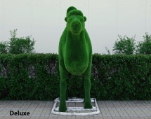 Топиари Верблюд двугорбый - газон  Eco