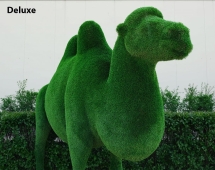 Топиари Верблюд двугорбый - газон  Eco