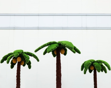 Топиари композиция Пальмы кокосовые - газон Deluxe+Eco, фото 3