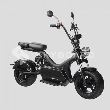 Электроскутер Citycoco SkyBoard Baikal BR50-3000 PRO MAX, фото 1