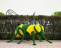 Топиари оса - газон Eco, фото 1