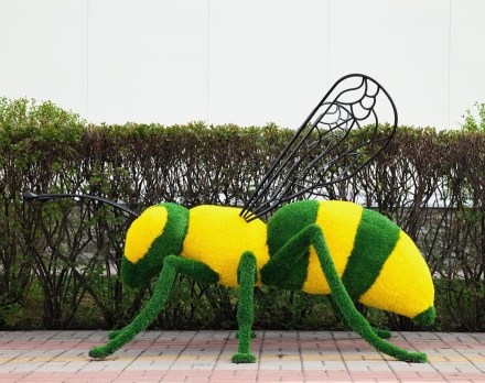 Топиари оса - газон Eco, фото 2