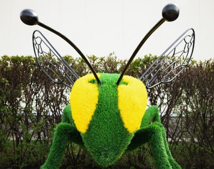 Топиари оса - газон Eco, фото 4