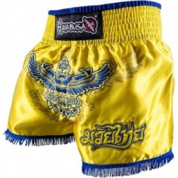Шорты Hayabusa haytshorts09