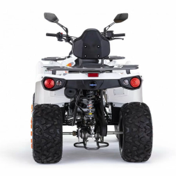 Квадроцикл MOTAX ATV Grizlik 200 Ultra, фото 4