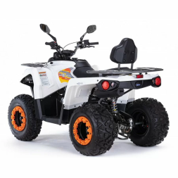 Квадроцикл MOTAX ATV Grizlik 200 Ultra, фото 3