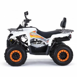 Квадроцикл MOTAX ATV Grizlik 200 Ultra, фото 2