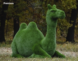 Топиари Верблюд - газон Premium, фото 1